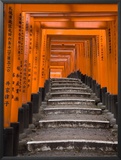 Torii Gates, Fushimi Inari Taisha Shrine, Kyoto, Honshu, Japan Framed Photographic Print by Gavin Hellier