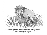 "Those pervs from National Geographic are filming us again." - Cartoon Premium Giclee Print by Carolita Johnson