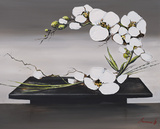 Happiness of White Orchids II Kunstdrucke von Olivier Tramoni