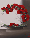 Plume Orchid II Plakater af Olivier Tramoni