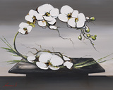 Happiness of White Orchids I Posters par Olivier Tramoni