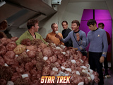 Star Trek: The Original Series, Captain Kirk, Dr. McCoy and Spock in "The Trouble with Tribbles" Posters