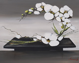 Happiness of White Orchid II Art par Olivier Tramoni