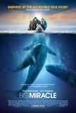 Big Miracle Photo