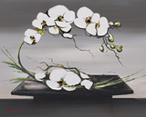 Happiness of White Orchids I Reprodukcje autor Olivier Tramoni