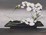 Happiness of White Orchids II Prints by Olivier Tramoni