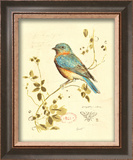 Gilded Songbird IV Prints by Chad Barrett
