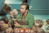 Star Trek: The Original Series, Captain Kirk in "The Trouble with Tribbles" Prints