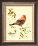 Gilded Songbird III Poster by Chad Barrett