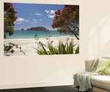 Pohutukawa Tree in Bloom and Hahei, Coromandel Peninsula, North Island, New Zealand Affiches par David Wall