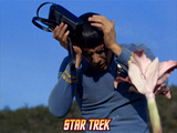 Star Trek: The Original Series, Mr. Spock in "This Side of Paradise" Posters