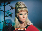 Star Trek: The Original Series, Yeoman Janice Rand Print