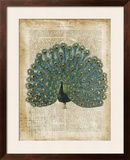 Antiquarian Birds V Prints