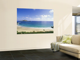 Makapuu Beach, Hawaii, USA Posters by Douglas Peebles