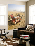 Resting Camels Gaze Across the Desert Sands of Giza, Cairo, Egypt Poster par Dave Bartruff