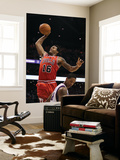 Chicago Bulls v Phoenix Suns: James Johnson and Channing Frye Prints by Christian Petersen