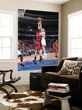 Toronto Raptors v Philadelphia 76ers: Spencer Hawes and Andrea Bargnani Art by David Dow