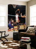 New York Knicks v Toronto Raptors: Ed Davis and Toney Douglas Prints by Ron Turenne