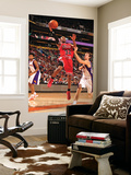 Chicago Bulls v Phoenix Suns: C.J. Watson and Goran Dragic Poster by Barry Gossage