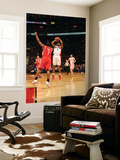 Houston Rockets v Toronto Raptors: Jarrett Jack and Kyle Lowry Posters by Ron Turenne