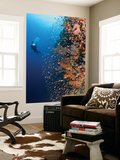 Diver With Light Next To Vertical Reef Formation, Pantar Island, Indonesia Posters by  Jones-Shimlock