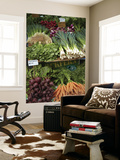 Vegetable Stall at Saturday Market, Salamanca Place, Hobart, Tasmania, Australia Posters by David Wall