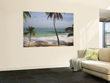 Playa Preciosa Beach, Abreu, North Coast, Dominican Republic Posters by Walter Bibikow