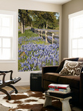 Lone Oak Tree Along Fence Line With Spring Bluebonnets, Texas, USA Poster by Julie Eggers