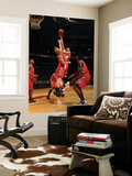 Houston Rockets v Toronto Raptors: Linas Kleiza and Chase Budinger Prints by Ron Turenne