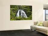 Owharoa Falls, Karangahake Gorge, Waikato, North Island, New Zealand Prints by David Wall