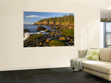 Polished Rocks at Otter Cliffs, Acadia National Park, Maine, USA Art by Chuck Haney