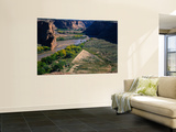 Tsegi Overlook Along the South Rim Drive, Canyon De Chelly National Monument, Arizona, USA Poster by Bernard Friel