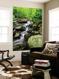 Creek Flows Through Forest, Shenandoah National Park, Virginia, USA Print by Jay O'brien