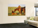 Feral Horse in the High Sagebrush Country East of Cody, Wyoming, USA Prints by Larry Ditto