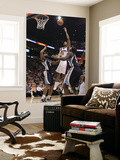 Memphis Grizzlies v Phoenix Suns: Josh Childress and Sam Young Art by  Christian