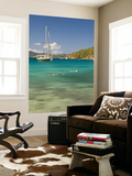Snorkelers in Idyllic Cove, Norman Island, Bvi Affiche par Trish Drury