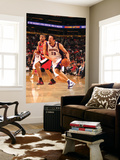 Portland Trail Blazers v Phoenix Suns: Hedo Turkoglu and Nicolas Batum Art by Barry Gossage