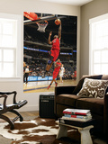Toronto Raptors v Charlotte Bobcats, Charlotte, NC - February 22: Ed Davis Prints by Kent Smith