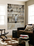 Man Wearing Prayer Shawl (Tallith) Praying at Western Wall Prints by Brian Cruickshank