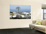 Ruins of Acroplis Near Pergamum Posters by Mark Avellino
