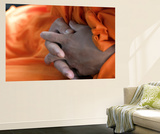 Monk's Hands Prints by Brian Cruickshank