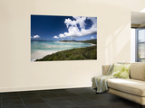 Whitehaven Beach from the Lookout on Whitsunday Island Prints by Tim Barker