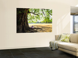 Man Sitting under a Banyan Tree Prints by Felix Hug