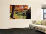 Fall Foliage, Vermont, USA Prints by Gavin Hellier