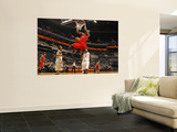 Toronto Raptors v Charlotte Bobcats, Charlotte, NC - February 22: Ed Davis Posters by Kent Smith
