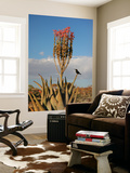 Blooming Aloe Littoralis Posters by Uros Ravbar