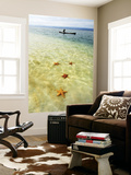 Sea Stars in Tropical Water at Star Beach Prints by Alfredo Maiquez