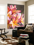 Plumeria or Frangipani Print by Ann Cecil