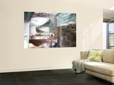 Bird in Cage at Mong Kok Bird Market Posters by Greg Elms