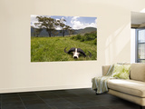 Cape Buffalo Skull and Hills of Ngorongoro Crater Poster by Douglas Steakley